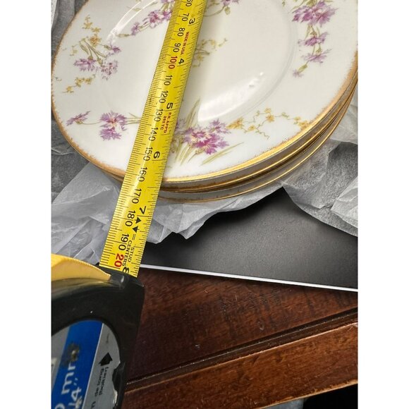 Antique Theodore Haviland Limoges France Antique Pink Floral 6.5" Plates c1903 - Picture 11 of 15